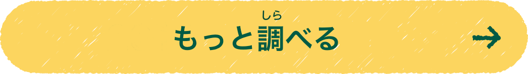 もっと調べる